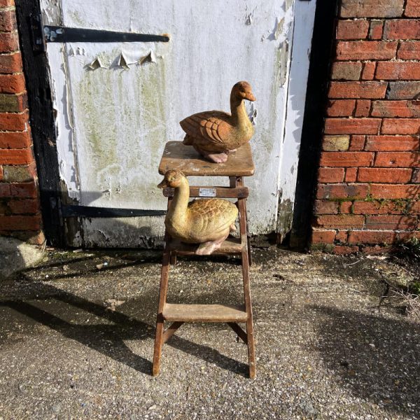 Vintage Terracotta duck sat on step ladder